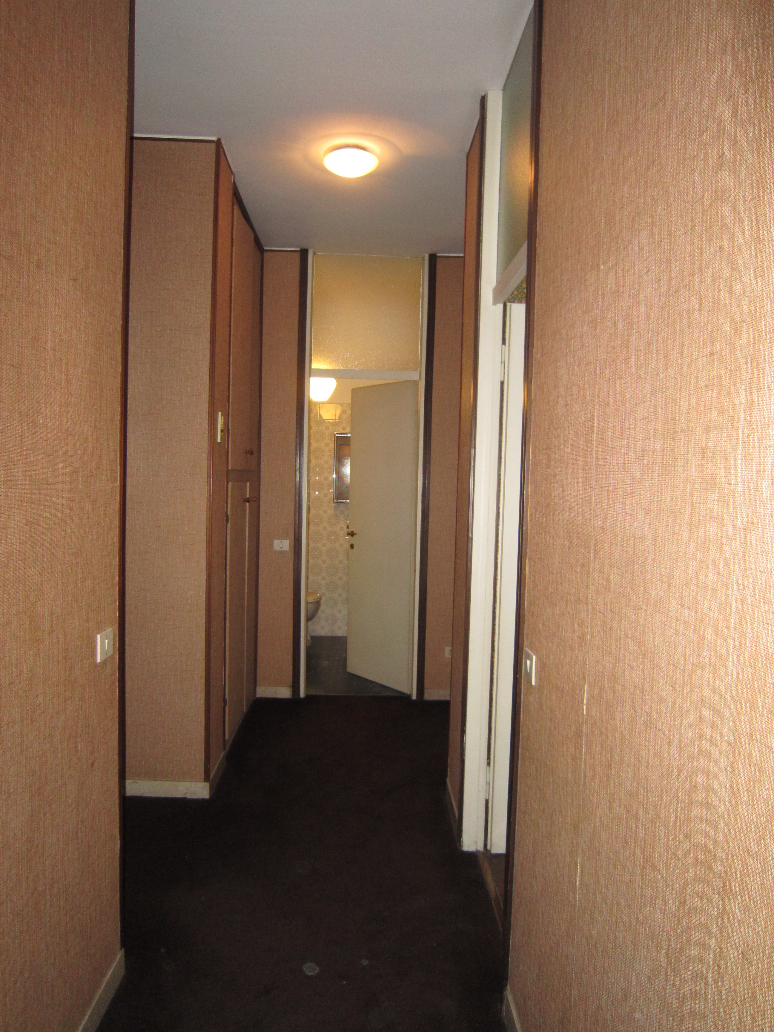 IMG 6347